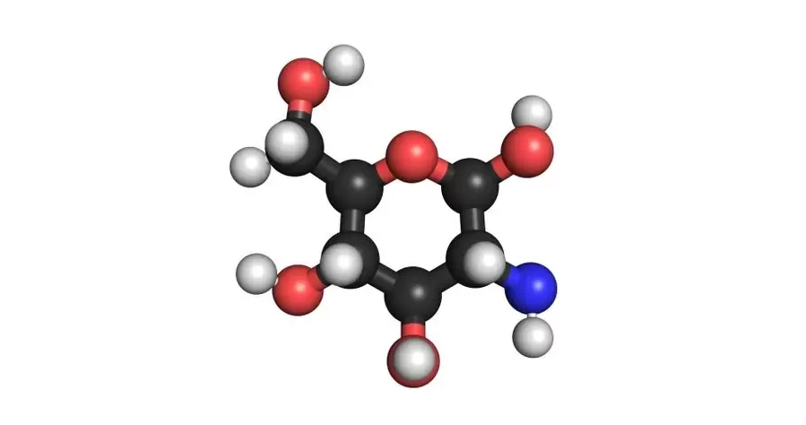 hondroitin v gelu Remofix